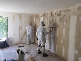 Best Basement Mold Removal  in Greenbrier, AR